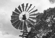 Windmill on Wilson River